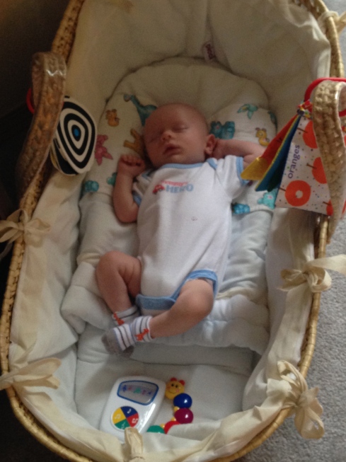 Asleep in the Moses Basket - September 24, 2014
